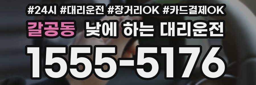 갈공동 낮에 하는 대리운전