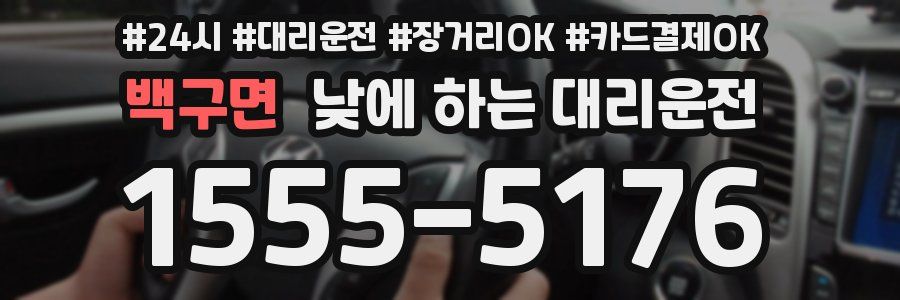 백구면 낮에 하는 대리운전