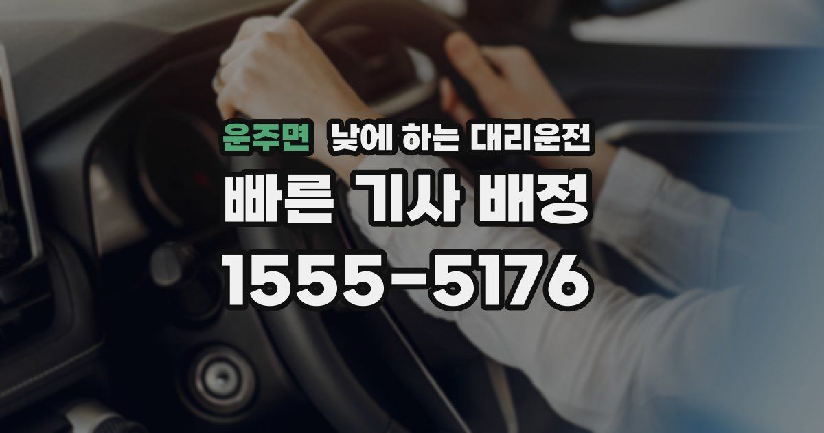 운주면 낮에 하는 대리운전