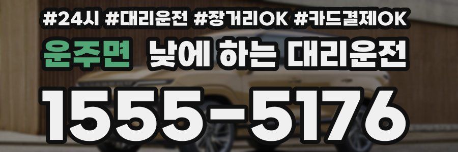 운주면 낮에 하는 대리운전