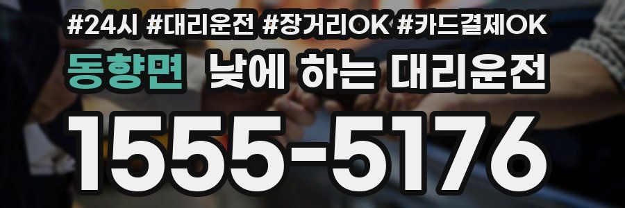 동향면 낮에 하는 대리운전