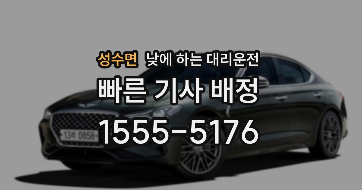 성수면 낮에 하는 대리운전