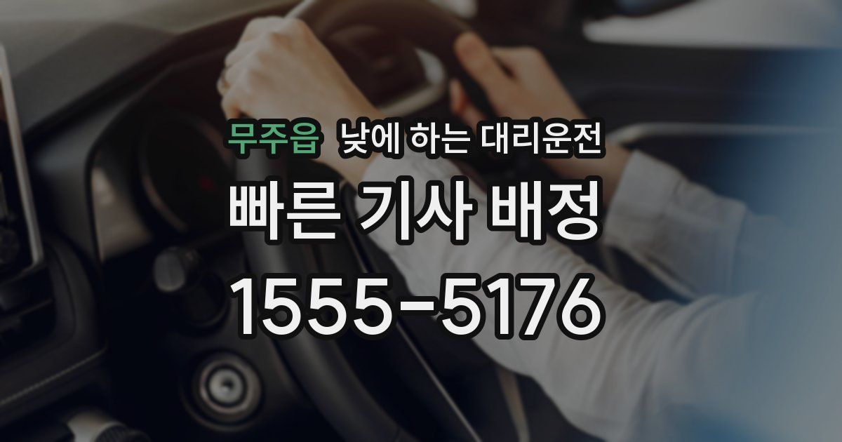 무주읍 낮에 하는 대리운전