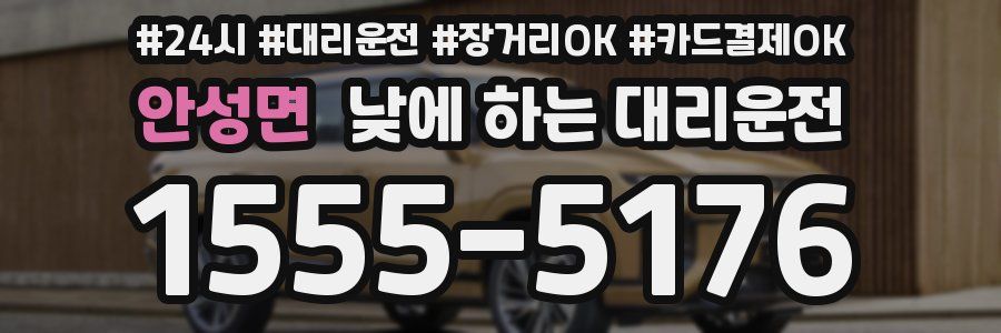 안성면 낮에 하는 대리운전