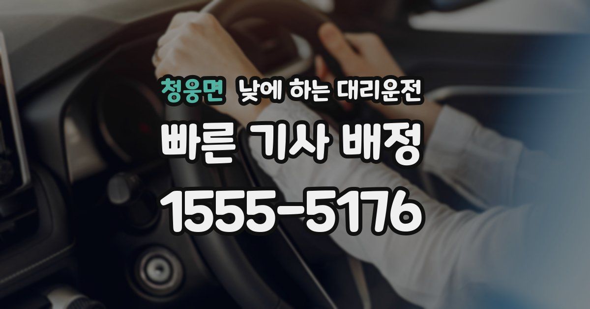 청웅면 낮에 하는 대리운전