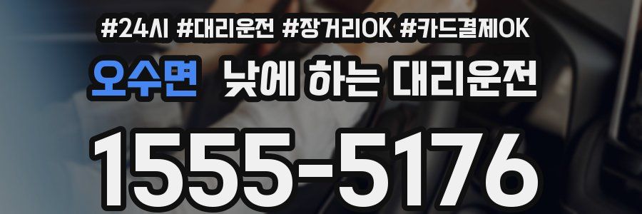 오수면 낮에 하는 대리운전