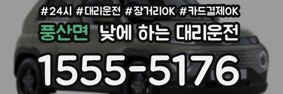 풍산면 낮에 하는 대리운전