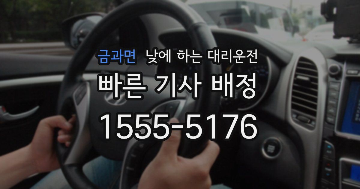 금과면 낮에 하는 대리운전