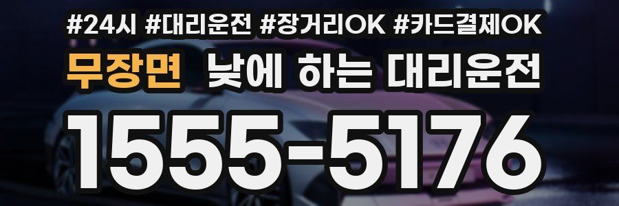 무장면 낮에 하는 대리운전