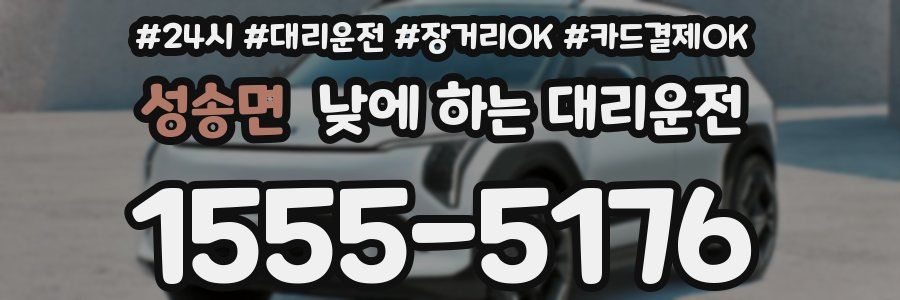 성송면 낮에 하는 대리운전