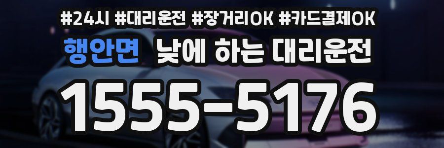 행안면 낮에 하는 대리운전