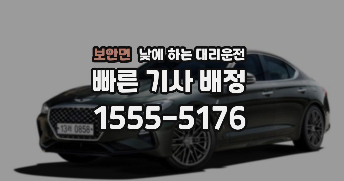 보안면 낮에 하는 대리운전