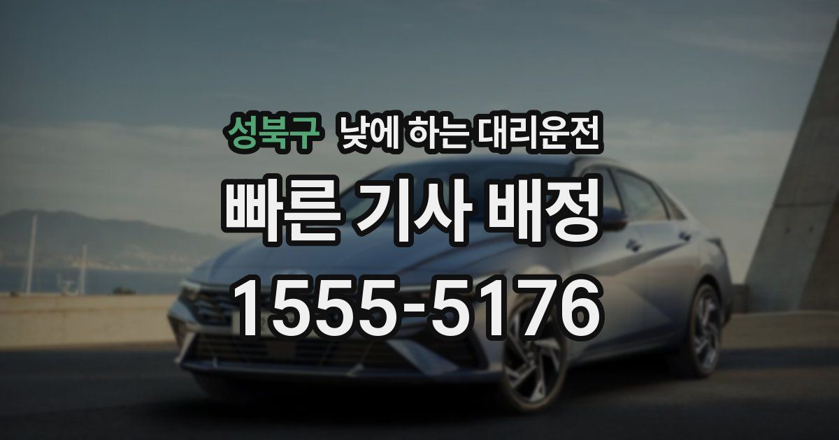 성북구 낮에 하는 대리운전