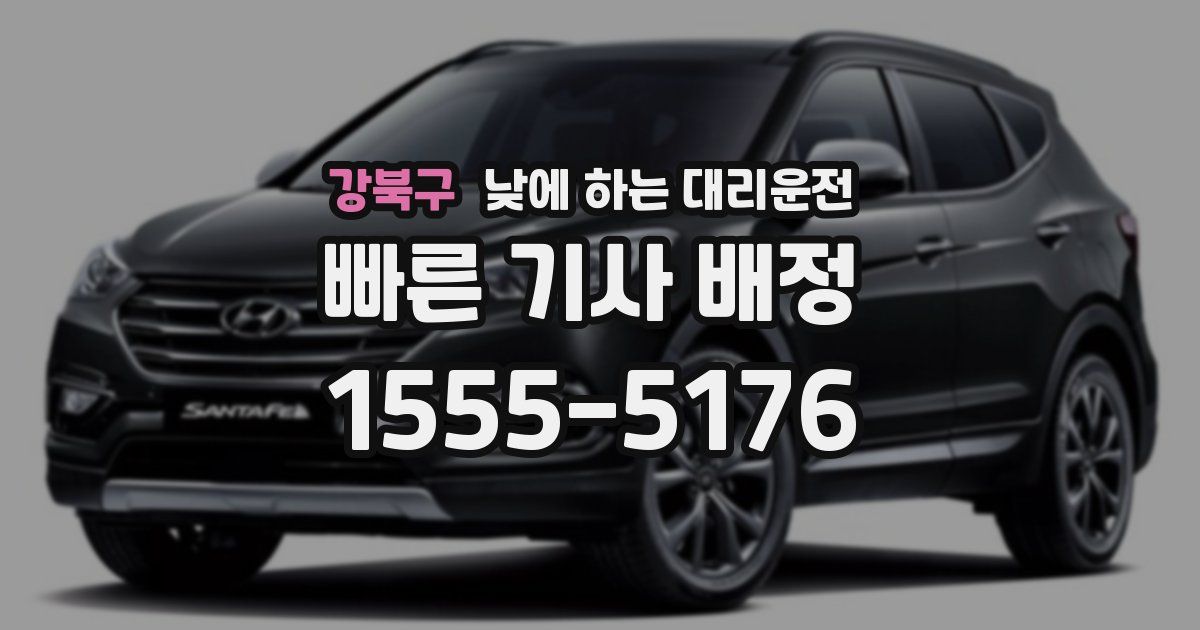 강북구 낮에 하는 대리운전