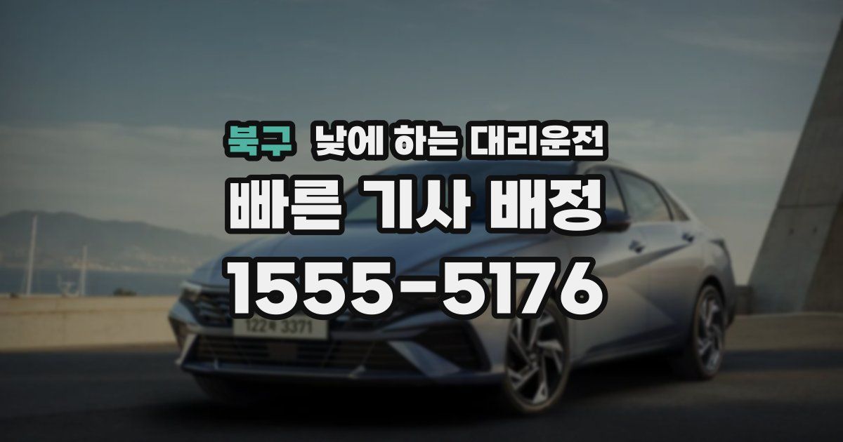 북구 낮에 하는 대리운전