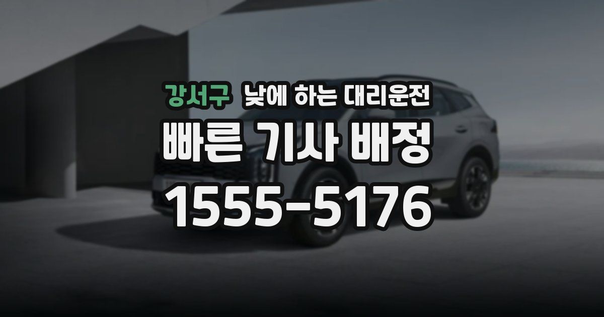 강서구 낮에 하는 대리운전