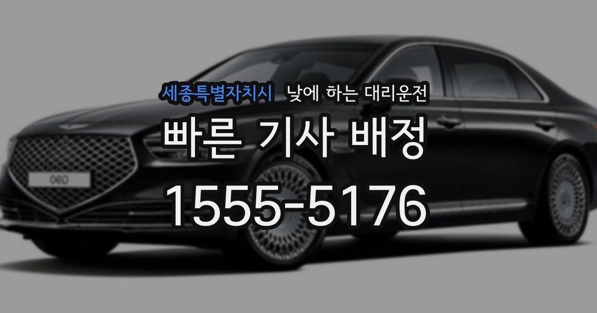 세종특별자치시 낮에 하는 대리운전