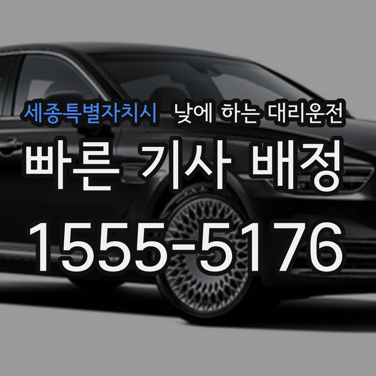 세종특별자치시 낮에 하는 대리운전