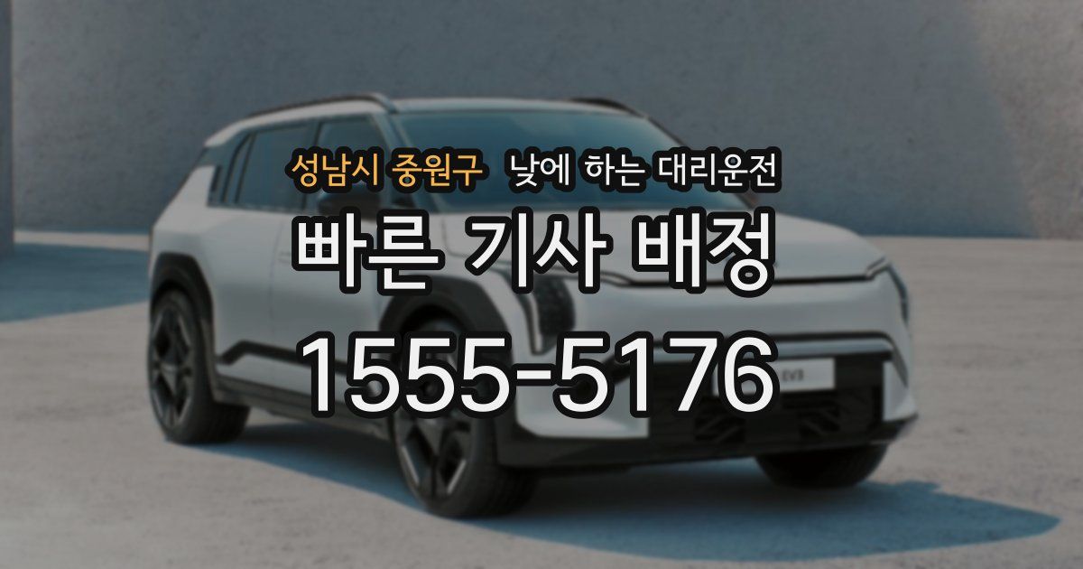 성남시 중원구 낮에 하는 대리운전