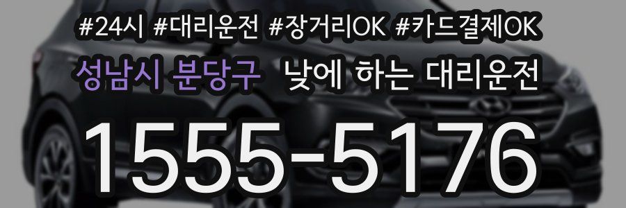 성남시 분당구 낮에 하는 대리운전