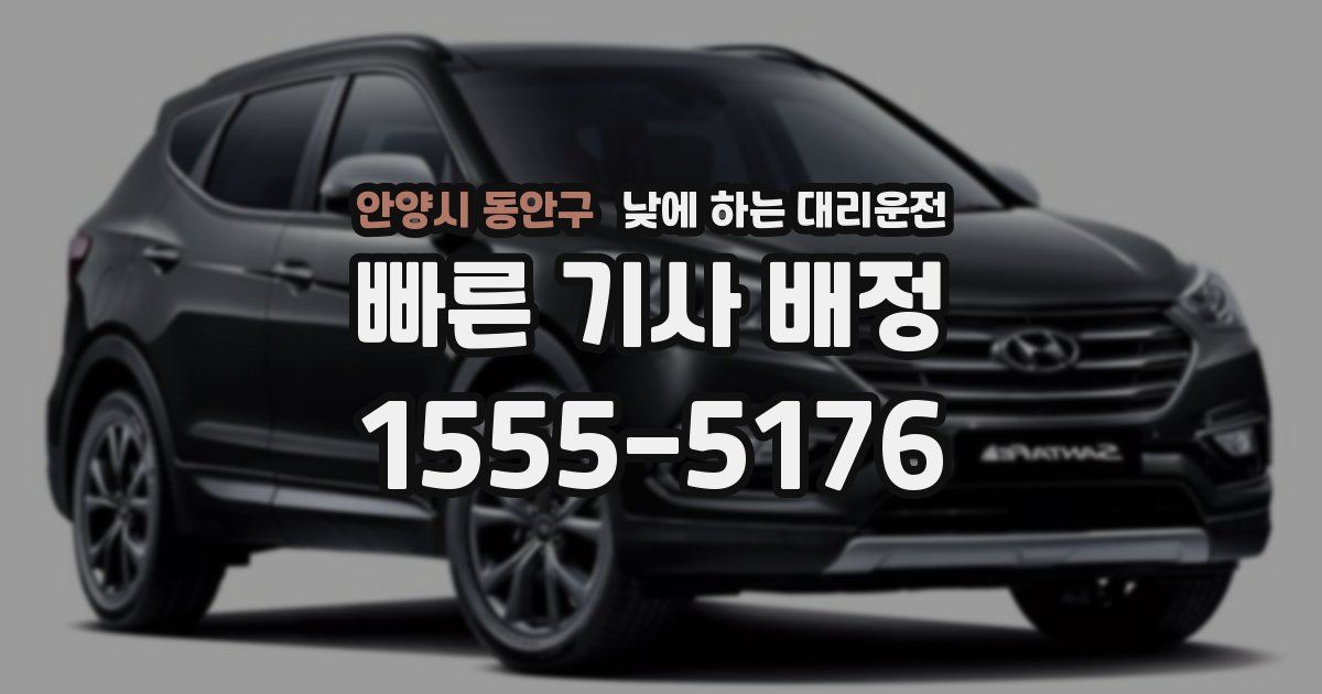 안양시 동안구 낮에 하는 대리운전