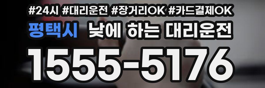 평택시 낮에 하는 대리운전