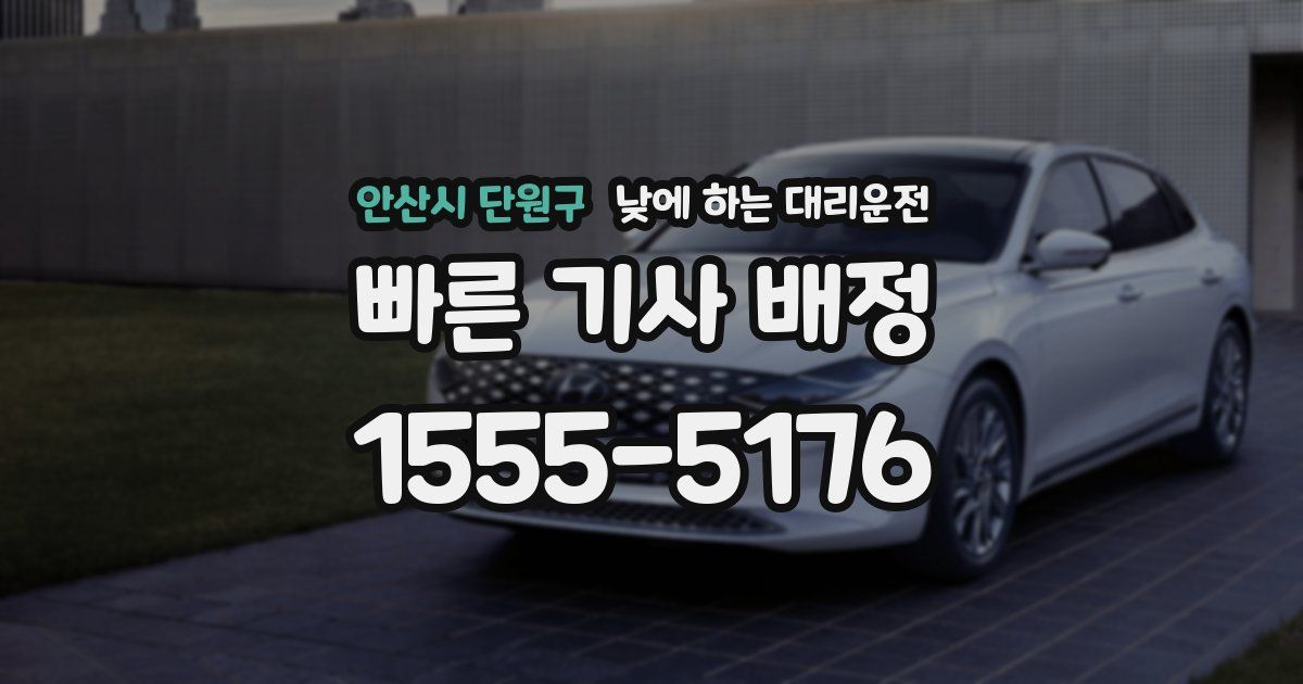 안산시 단원구 낮에 하는 대리운전