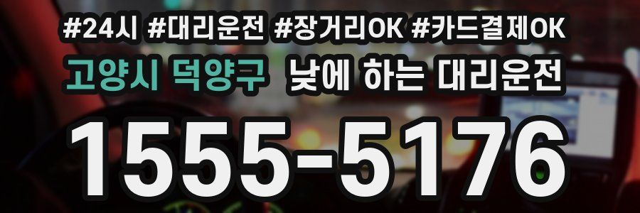 고양시 덕양구 낮에 하는 대리운전