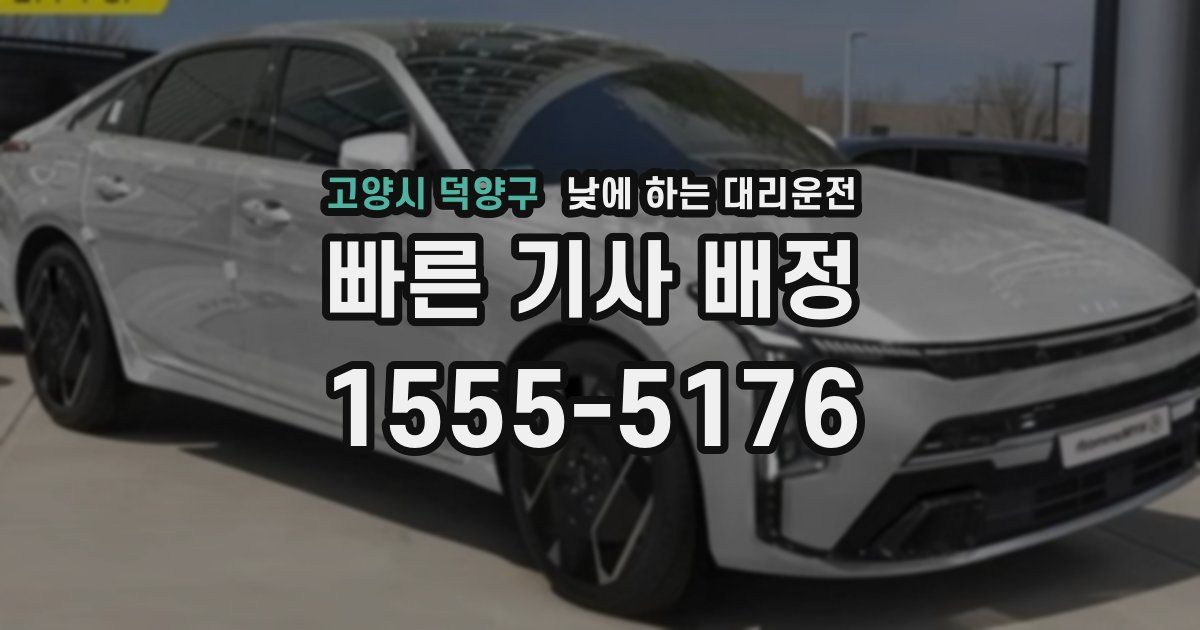 고양시 덕양구 낮에 하는 대리운전