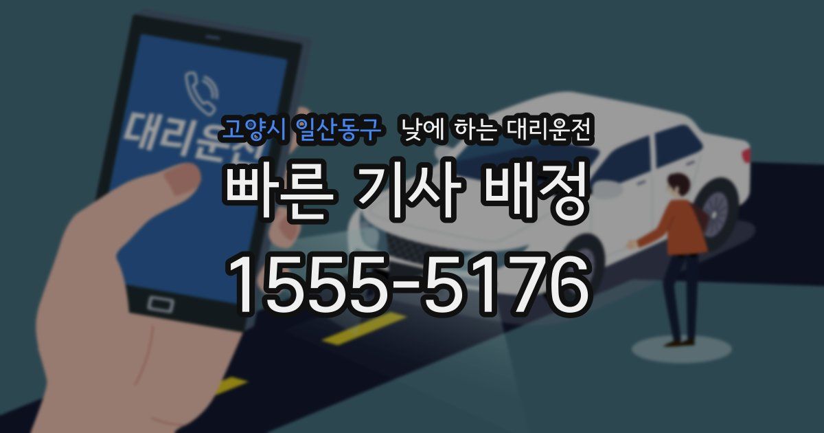 고양시 일산동구 낮에 하는 대리운전