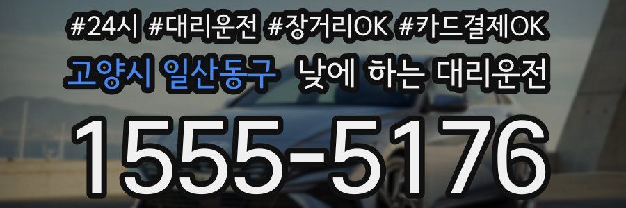 고양시 일산동구 낮에 하는 대리운전