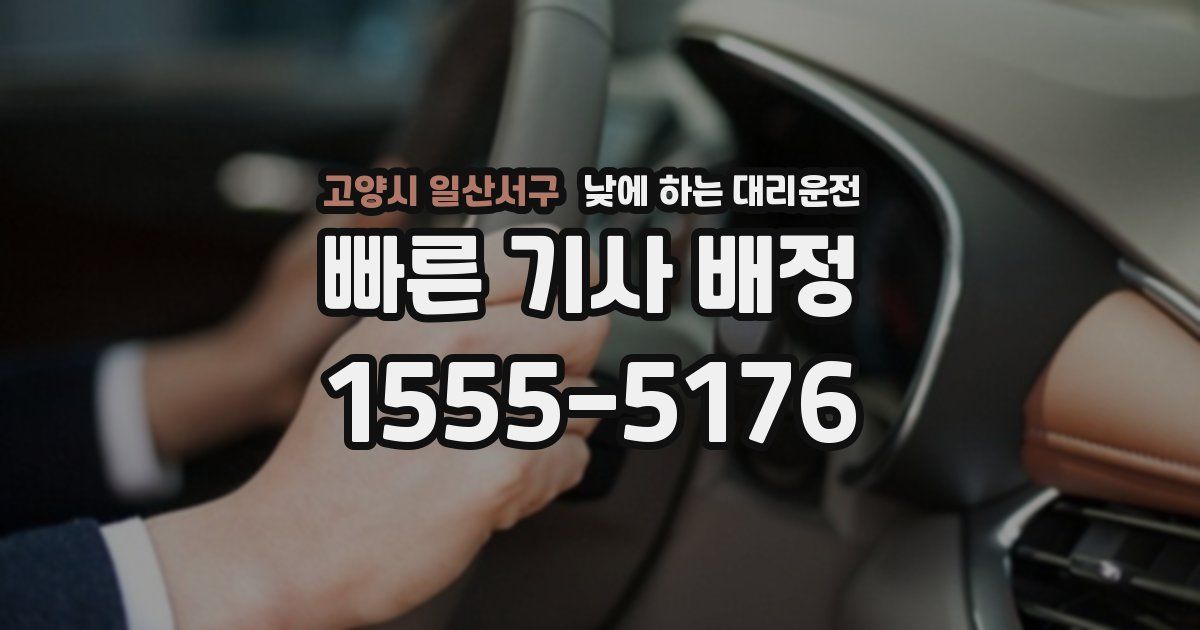 고양시 일산서구 낮에 하는 대리운전