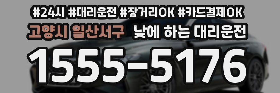 고양시 일산서구 낮에 하는 대리운전