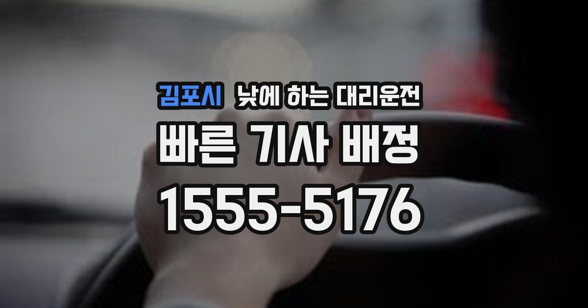 김포시 낮에 하는 대리운전