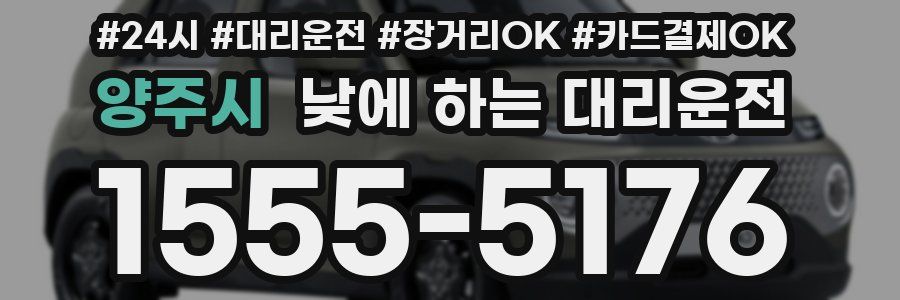 양주시 낮에 하는 대리운전