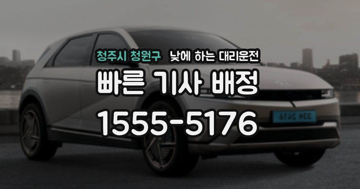 청주시 청원구 낮에 하는 대리운전