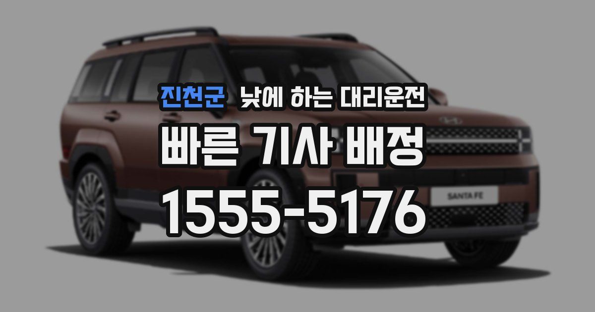 진천군 낮에 하는 대리운전