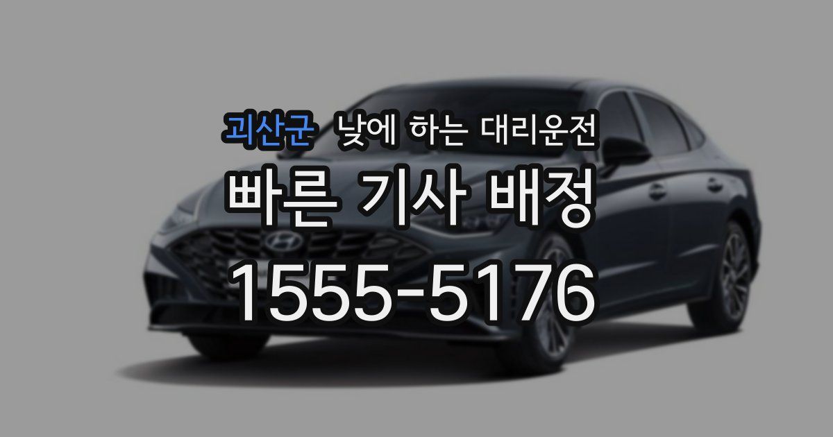 괴산군 낮에 하는 대리운전