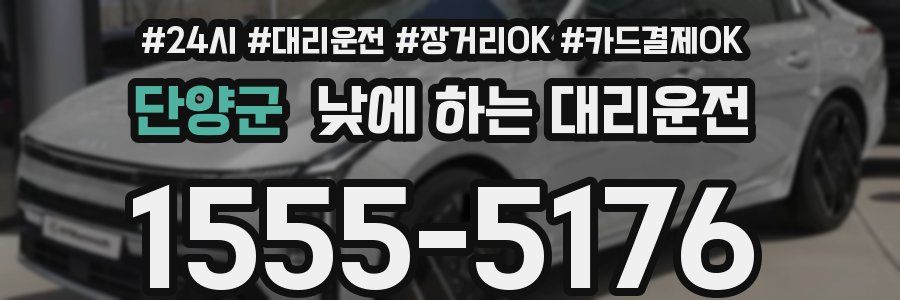 단양군 낮에 하는 대리운전