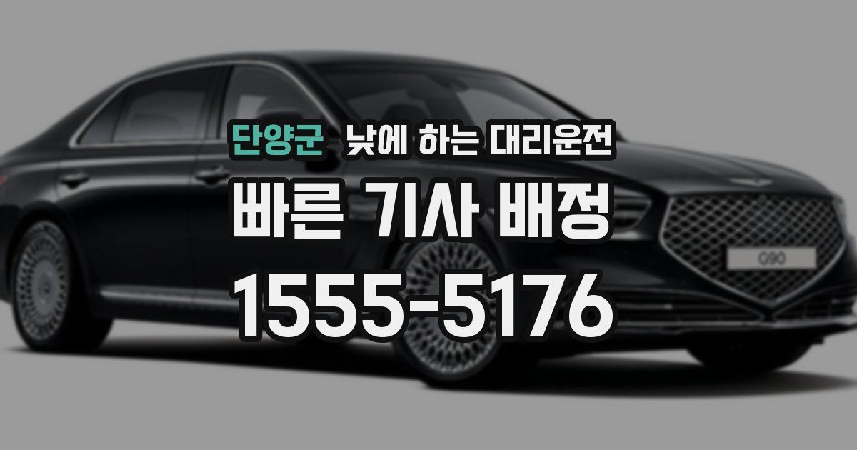 단양군 낮에 하는 대리운전