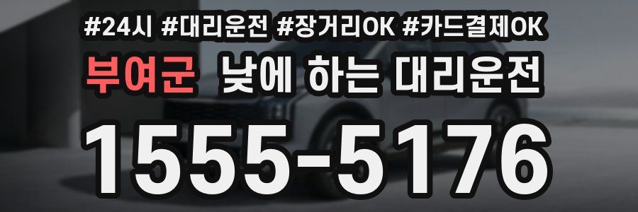 부여군 낮에 하는 대리운전