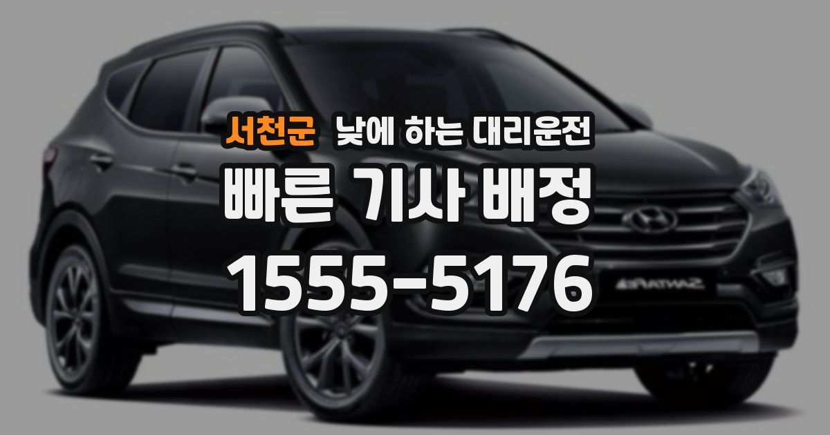 서천군 낮에 하는 대리운전