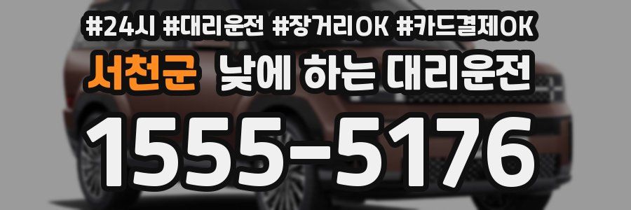 서천군 낮에 하는 대리운전