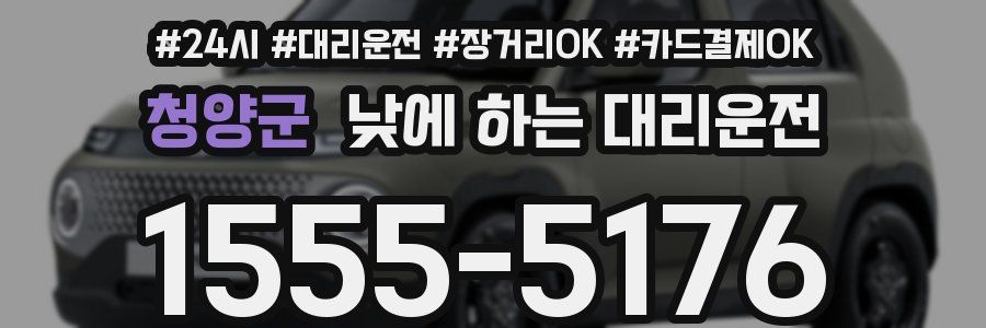 청양군 낮에 하는 대리운전