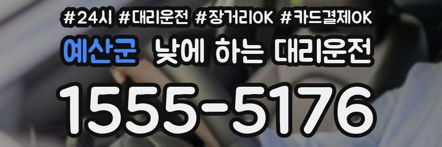 예산군 낮에 하는 대리운전