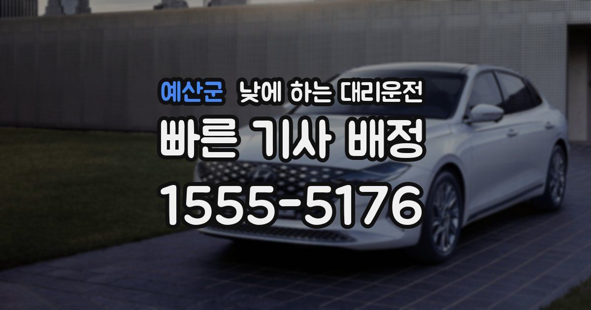 예산군 낮에 하는 대리운전