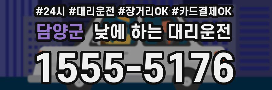 담양군 낮에 하는 대리운전