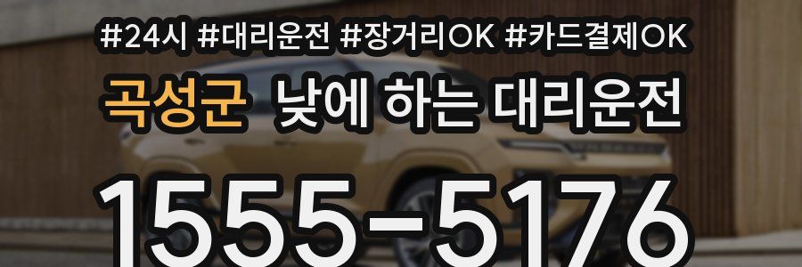 곡성군 낮에 하는 대리운전