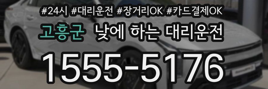 고흥군 낮에 하는 대리운전