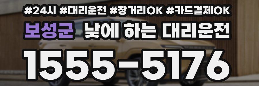 보성군 낮에 하는 대리운전